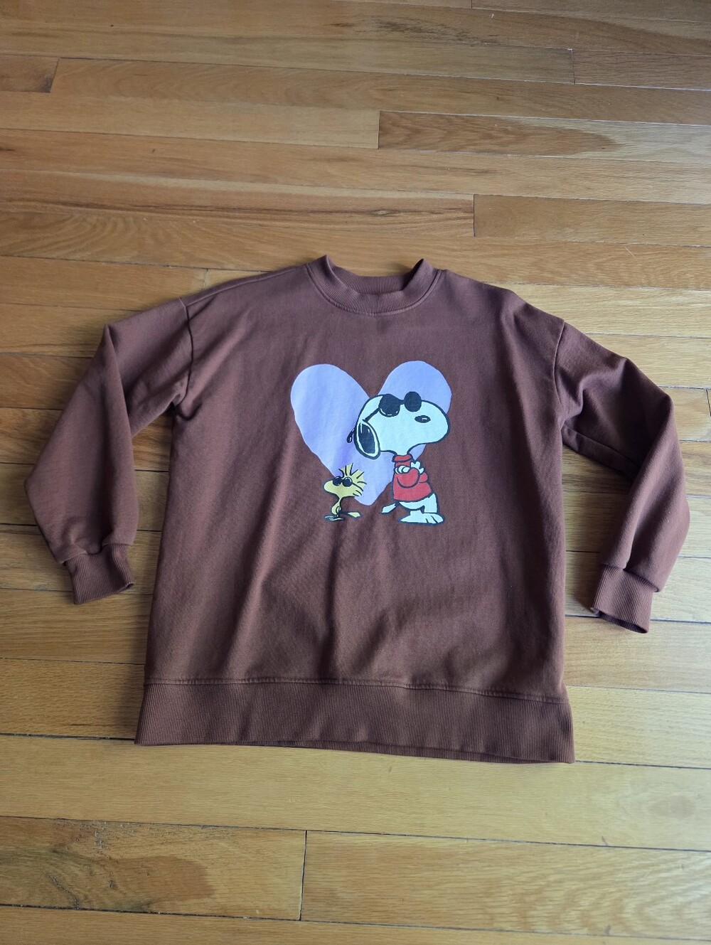 Nwot Hanna Andersson Brown Kids Sweatshirt with Snoopy & Woodstock Oversized 10